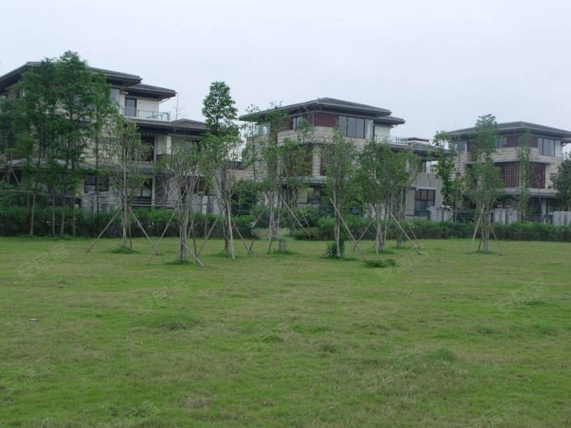 大洋鹭洲_户型图_样板间图_规划图_外景图