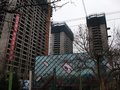 项目进展图