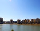 江南乐居