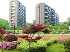山中的重点学区房 实探坤和和家园实景(组图)