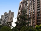 大户型受高端购房者青睐 中基高尔夫花园户型优缺点评测
