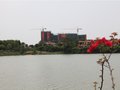 实景图 实景图