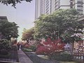 效果图