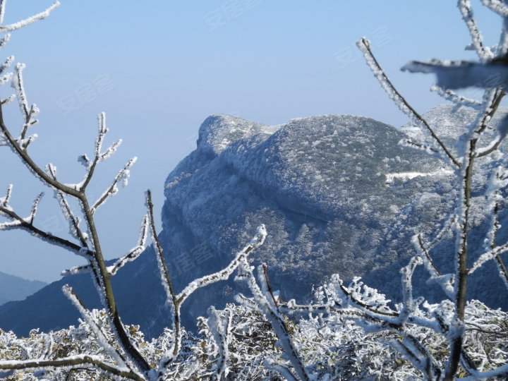 ...旦到重庆旅游价格 元旦重庆滑雪旅游 元旦重庆金佛山一日游