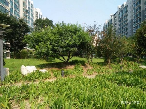 华纺东区,西南高层观景,可高贷,有钥匙,价格可大谈有惊喜