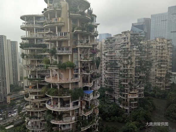 高新区 天鹅湖花园 套三双卫 观湖 地铁口 空中花园景观房