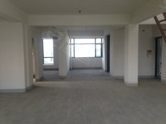 林晶电话:13851986574,林晶网上店铺发布二手