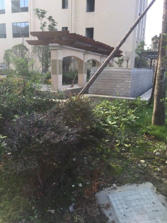 蜜立方 水电气三通公寓 性价比超高 首付只需十