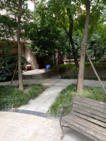 千载难逢、视频房、出门7号线、一品天下、正