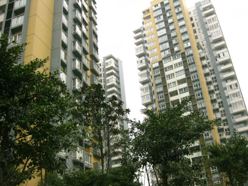 800x600.jpg