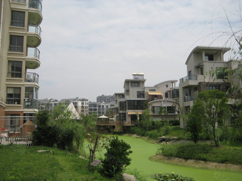 金帝城市岸泊